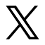公式X