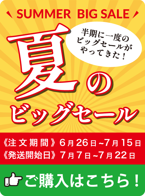 ビッグセール開催中