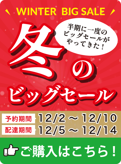 ビッグセール開催中